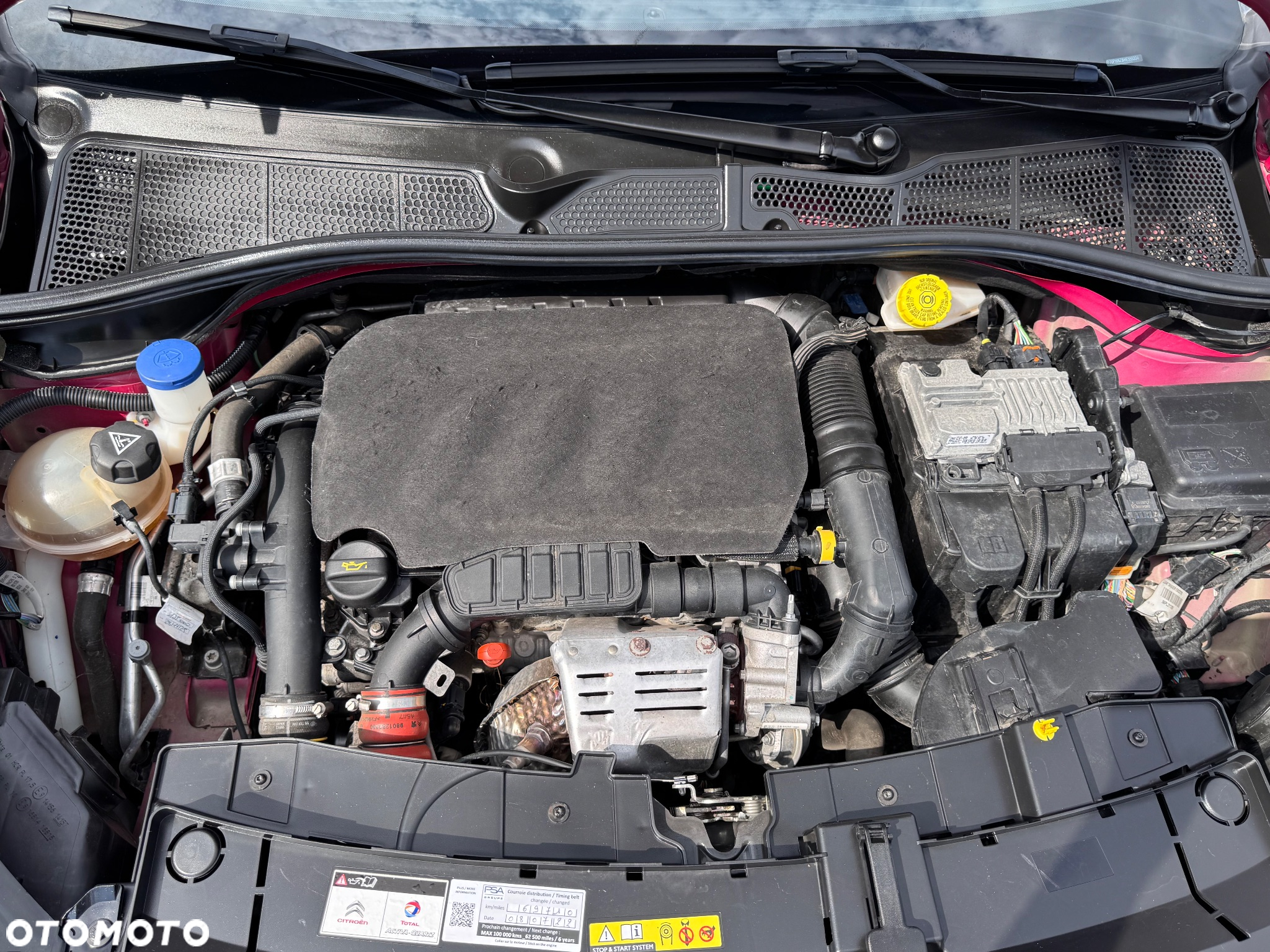 Citroën C4 Cactus 1.2 PureTech Rip Curl S&S - 38