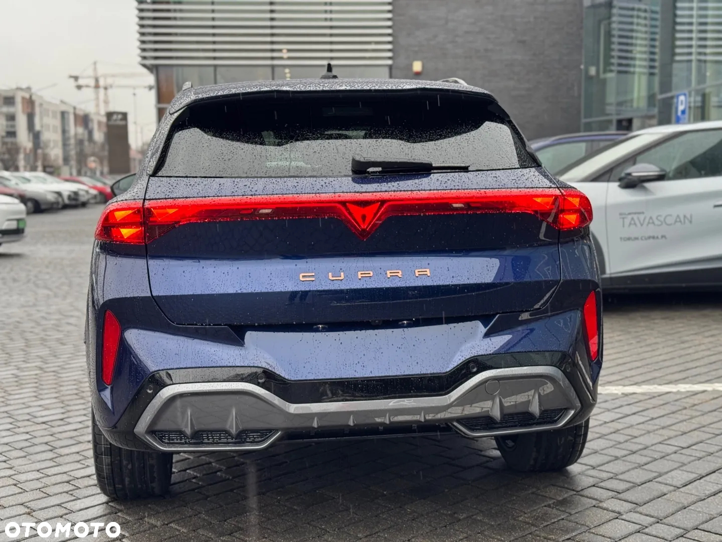 Cupra Terramar 2.0 TSI 4Drive DSG - 8