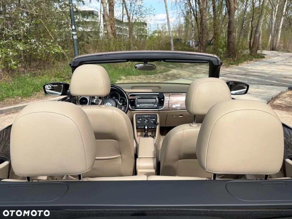 Volkswagen Beetle - 5