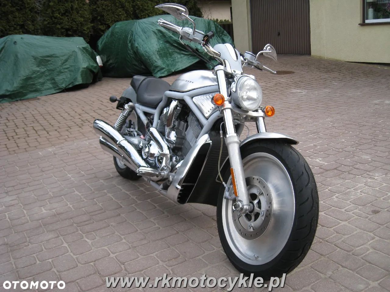 Harley-Davidson Softail V-Rod - 1