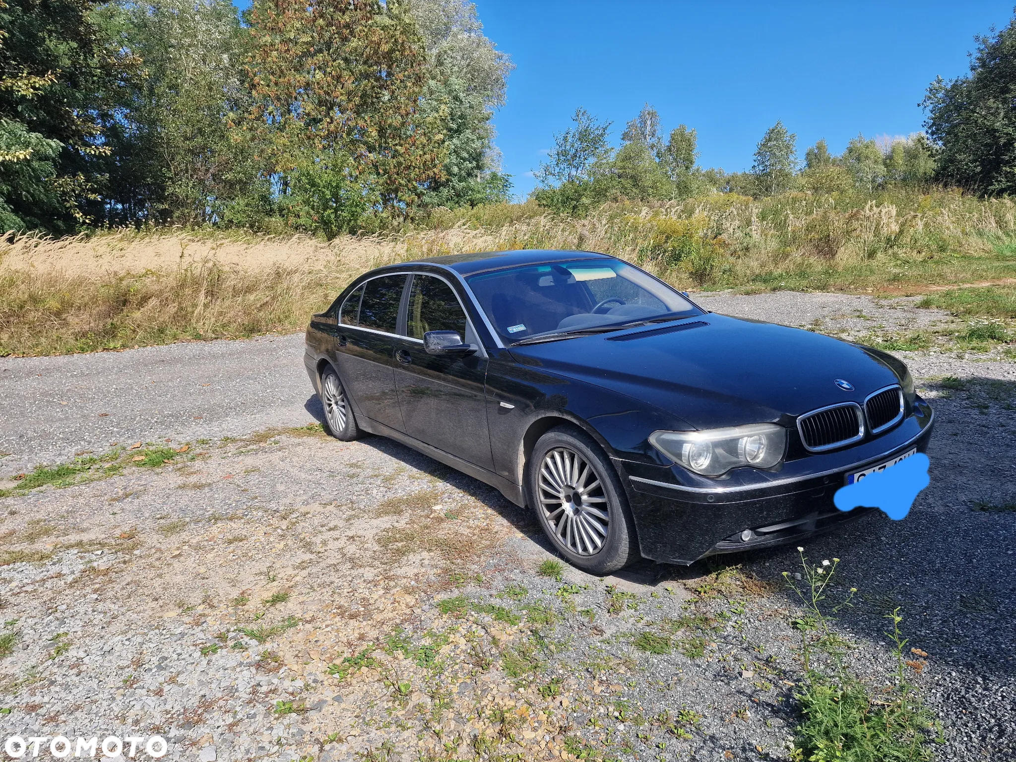 BMW Seria 7 745i L - 2