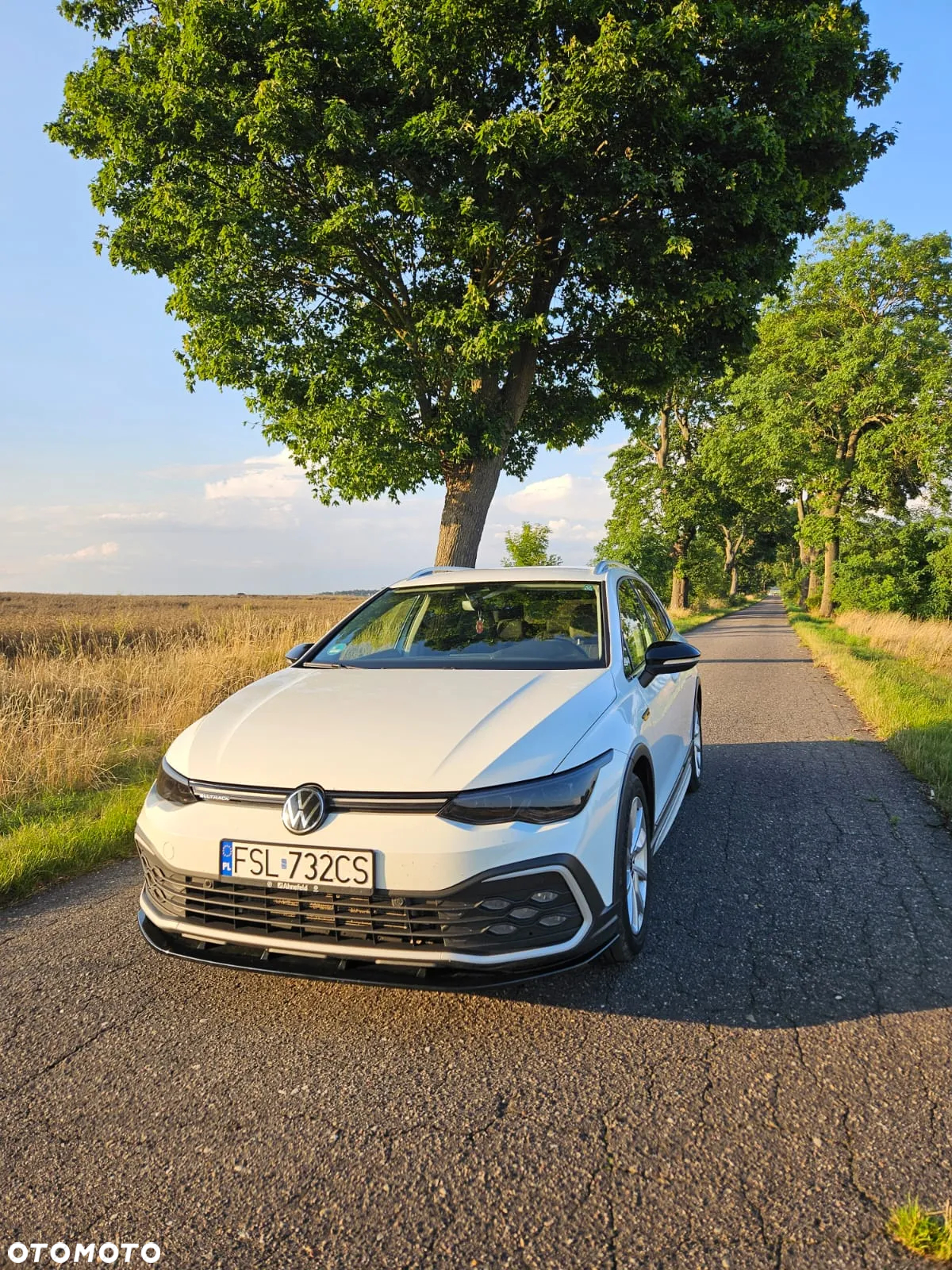 Volkswagen Golf Alltrack 2.0 TDI 4Mot DSG - 5