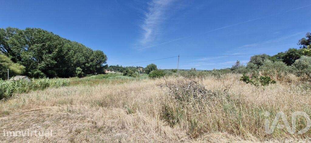 Terreno Agrícola em Fráguas - Grande imagem: 3/26