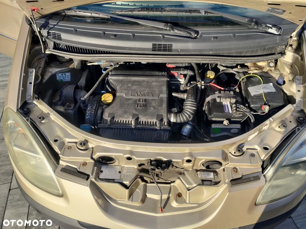 Lancia Musa - 16