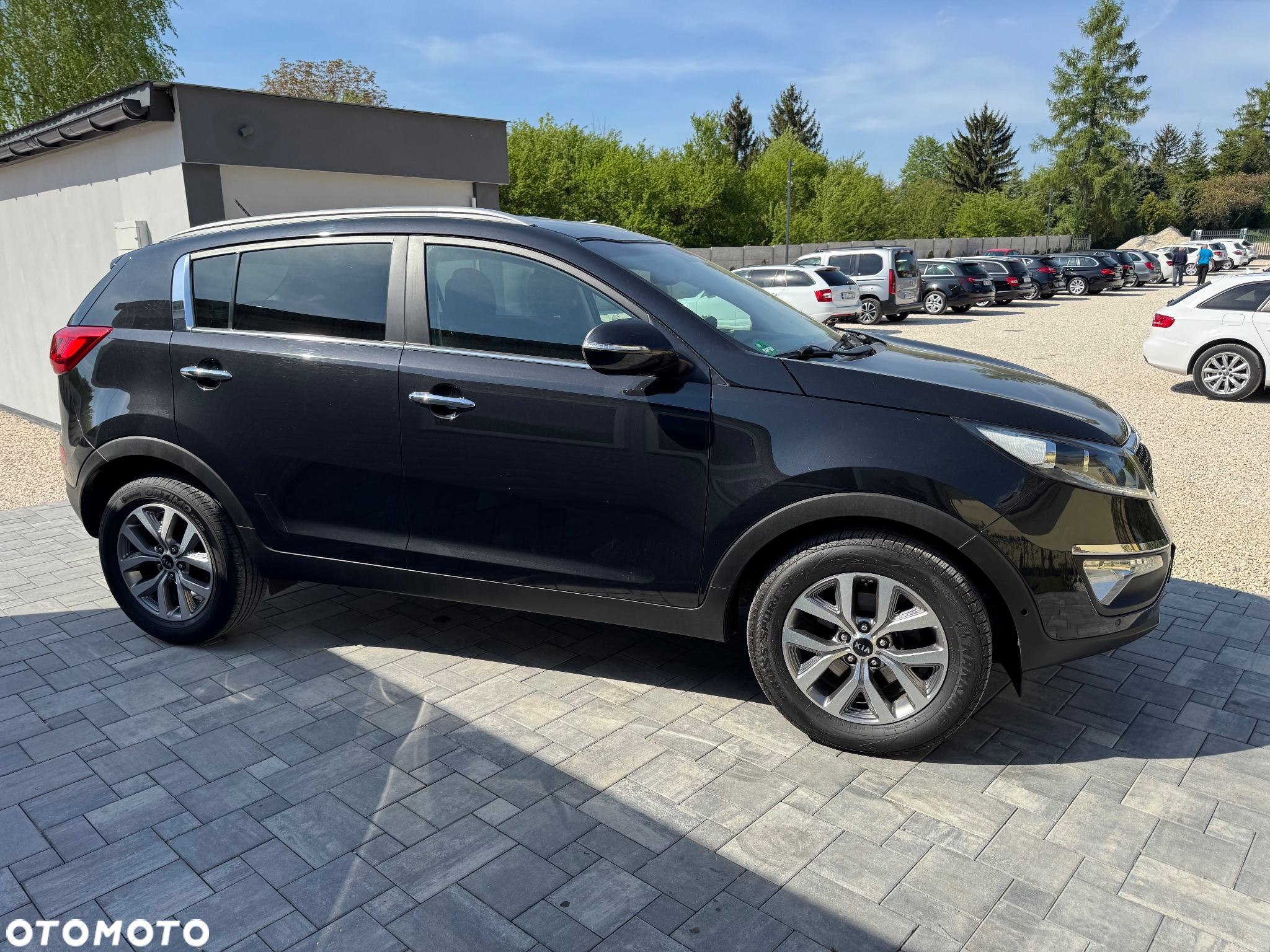 Kia Sportage 1.6 GDI Black Edition 2WD - 5