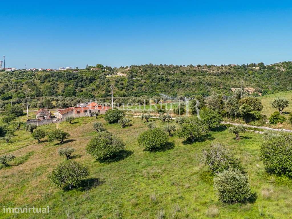 Conjunto de duas propriedades contíguas com 13 hectares, Torres Novas - Grande imagem: 2/49