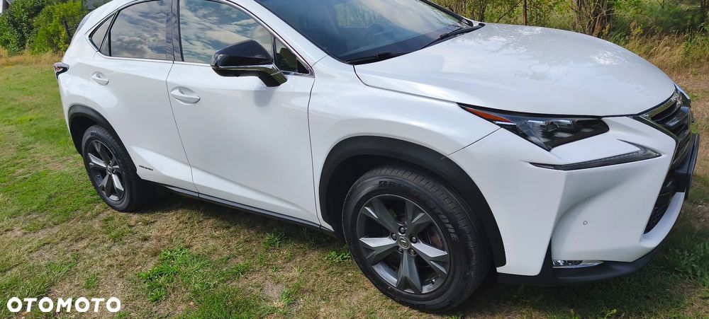 Lexus NX - 2