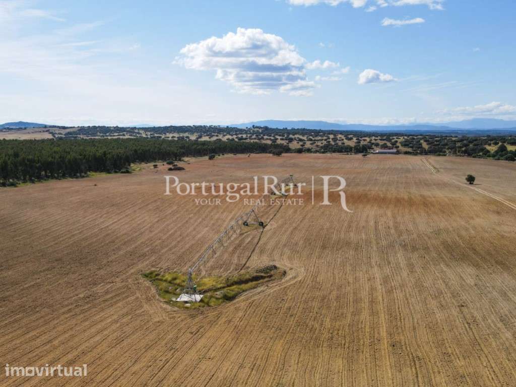Herdade com 72 ha com possibilidade para regadio na região de Caste... - Grande imagem: 3/46