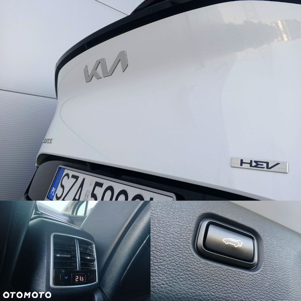 Kia Sportage 1.6 T-GDI HEV Business Line 2WD - 39