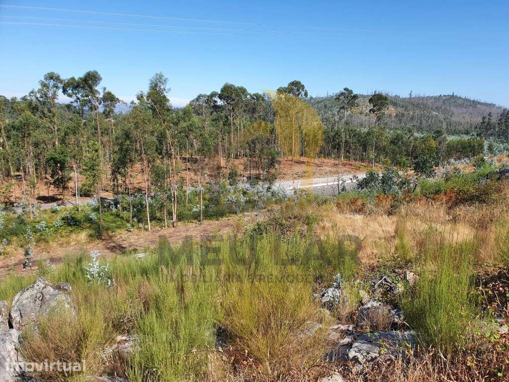 TERRENO ZONA INDUSTRIAL - Grande imagem: 2/5