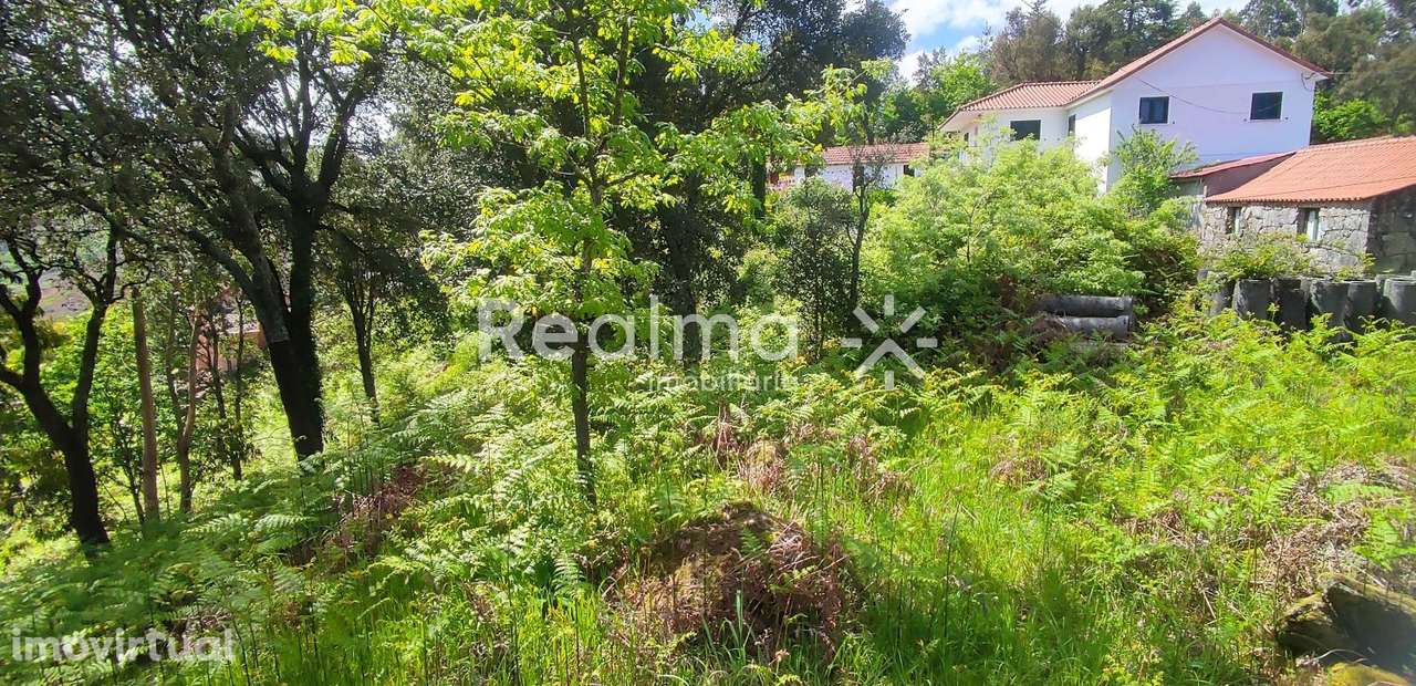 Terreno em Ruivães - Vieira do Minho p/ Construção - Grande imagem: 3/20