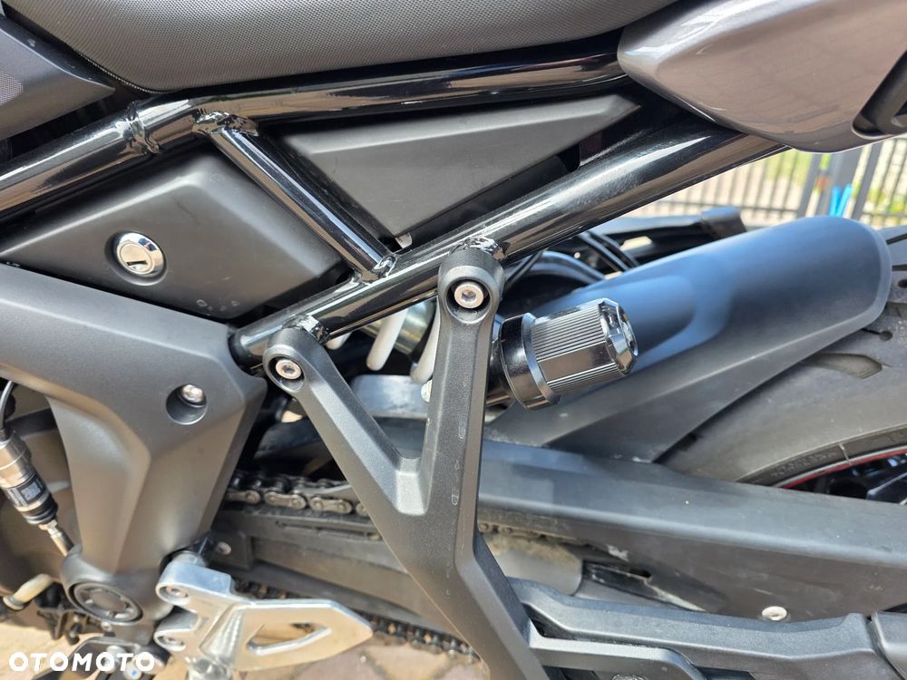 Triumph Tiger - 19