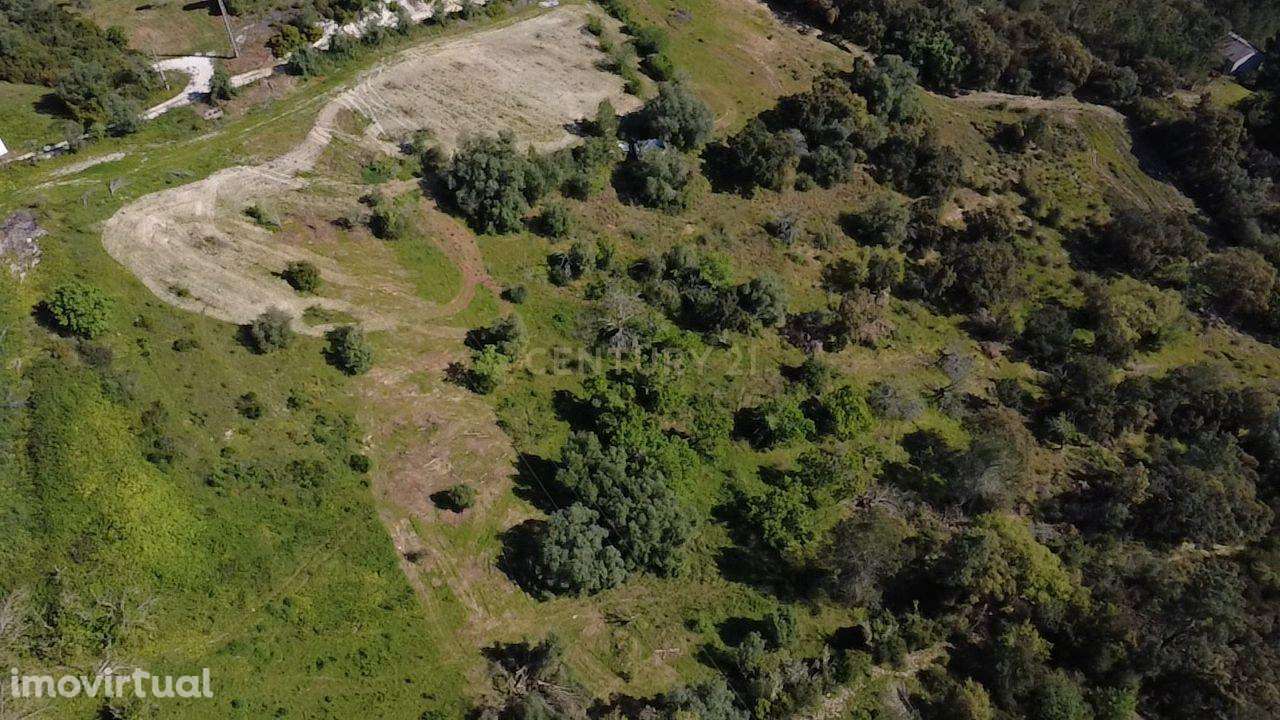 Terreno agrícola - Grande imagem: 5/15