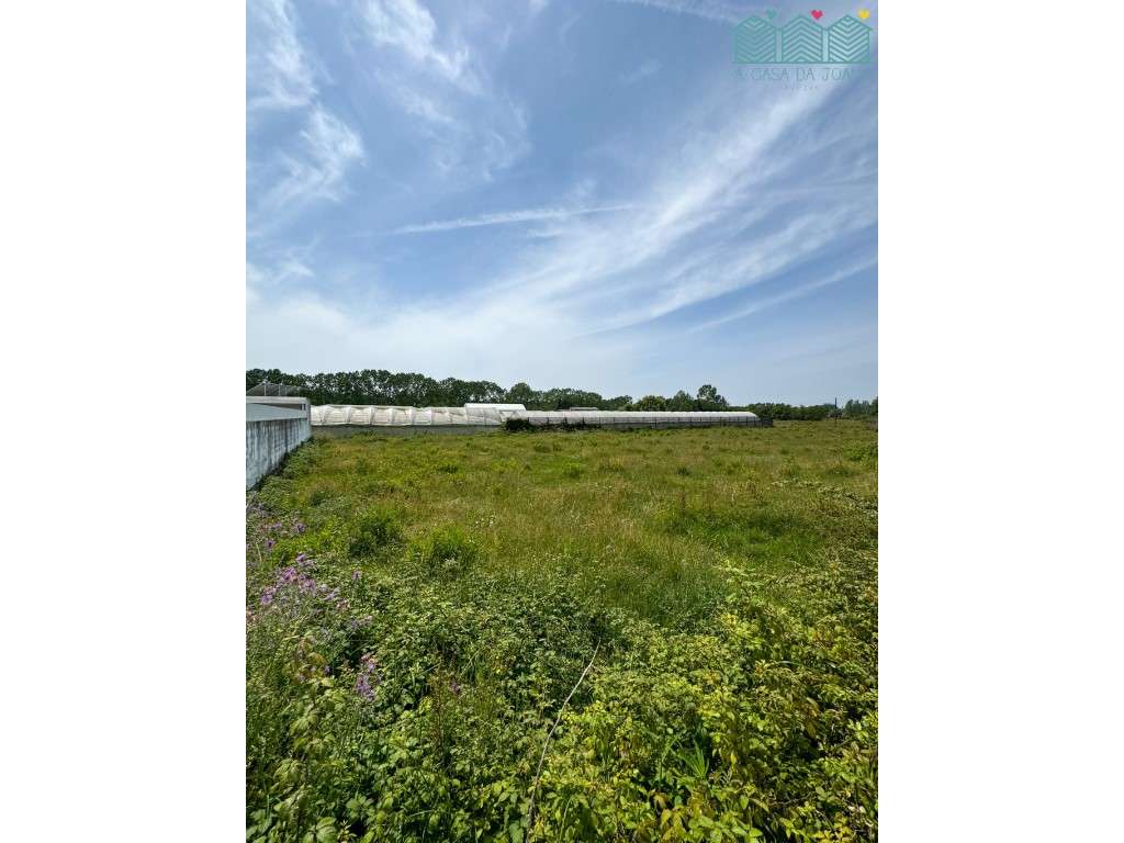 Terreno em Vagos - Grande imagem: 2/3