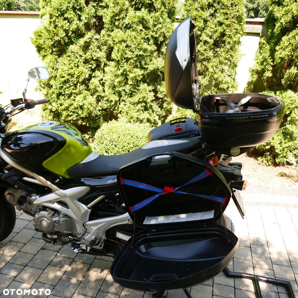 Suzuki Gladius - 11