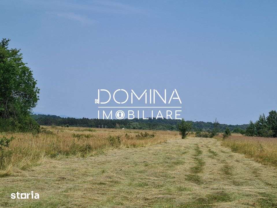 Vanzare teren *17,8 ha - front stradal 40 m.l.* - Comuna Runcu - Imagine principală: 3/6