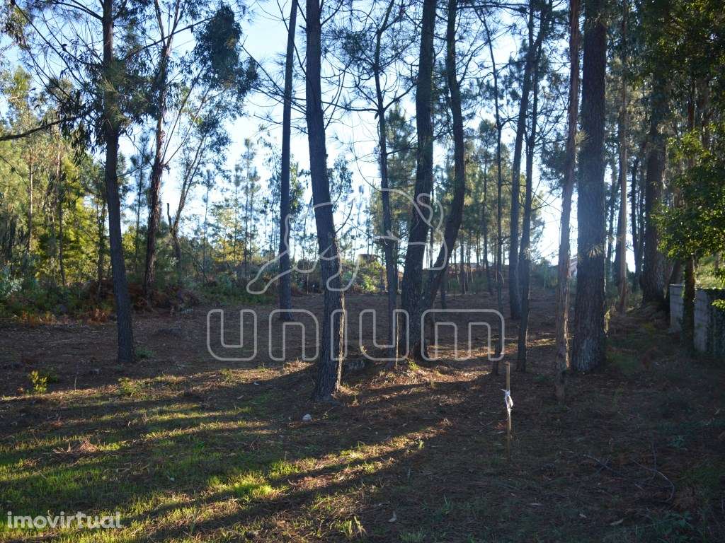 Terreno em São Salvador da Torre - Grande imagem: 3/5
