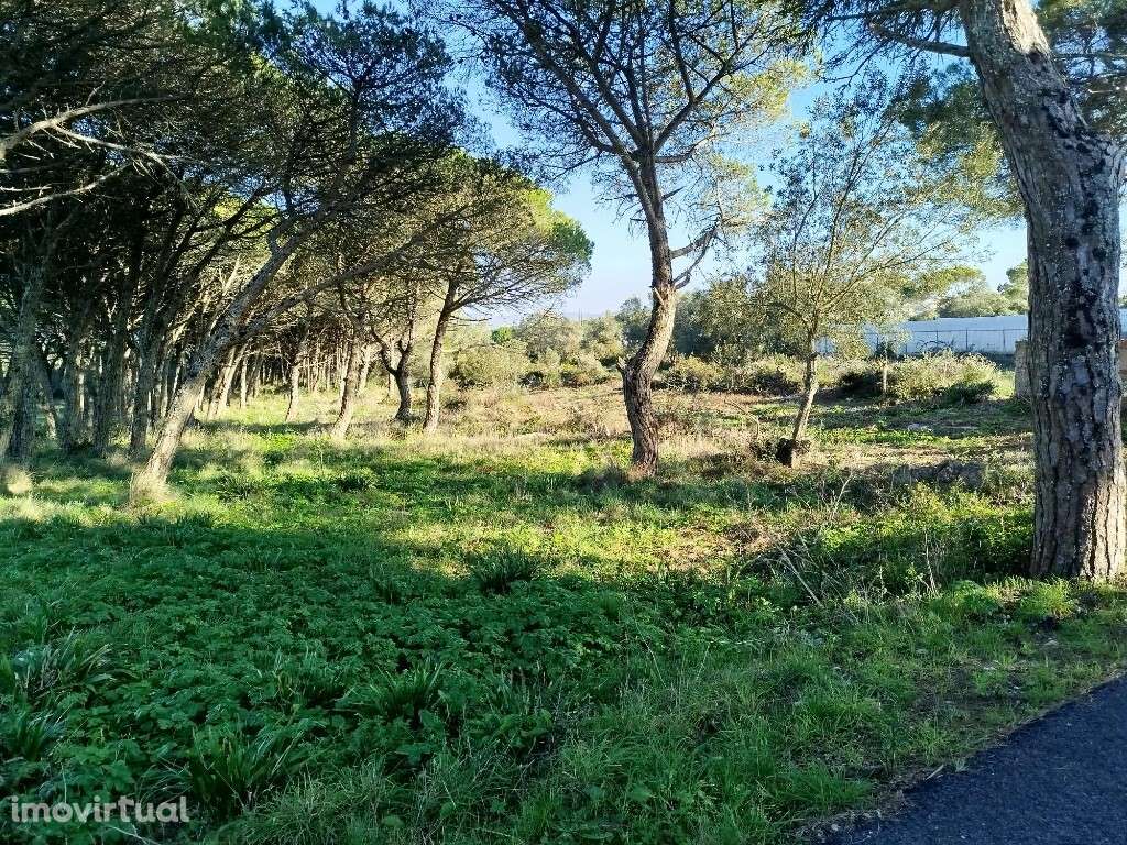 Terreno para venda em Alcolombal - Terrugem - Sintra - Grande imagem: 4/4