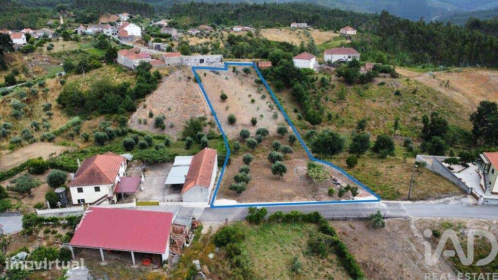 Terreno Agrícola em Graça - Grande imagem: 3/19