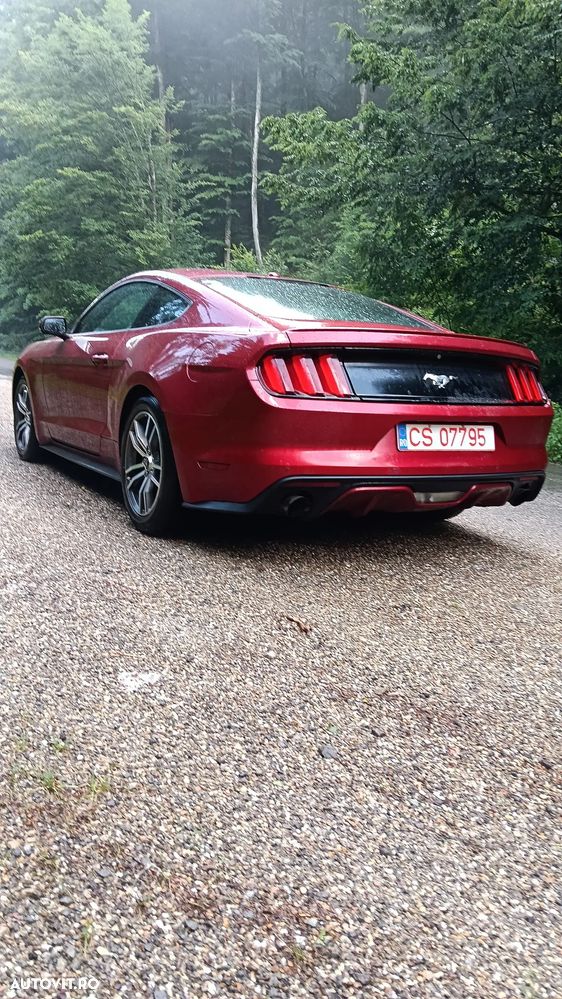 Ford Mustang 2.3 EcoBoost Aut. - 7
