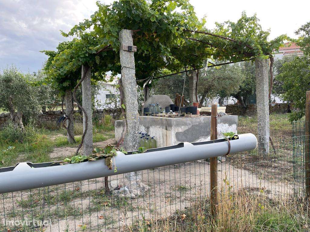 Excelente Terreno em Santa Eulalia/Elvas - Grande imagem: 5/11