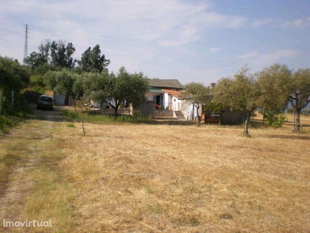 Quinta - Zona do Fundão - Grande imagem: 4/12