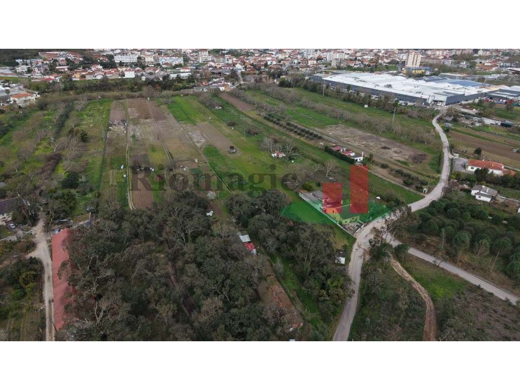 Terreno rústico Rio Maior***RIOMAGIC*** - Grande imagem: 3/11