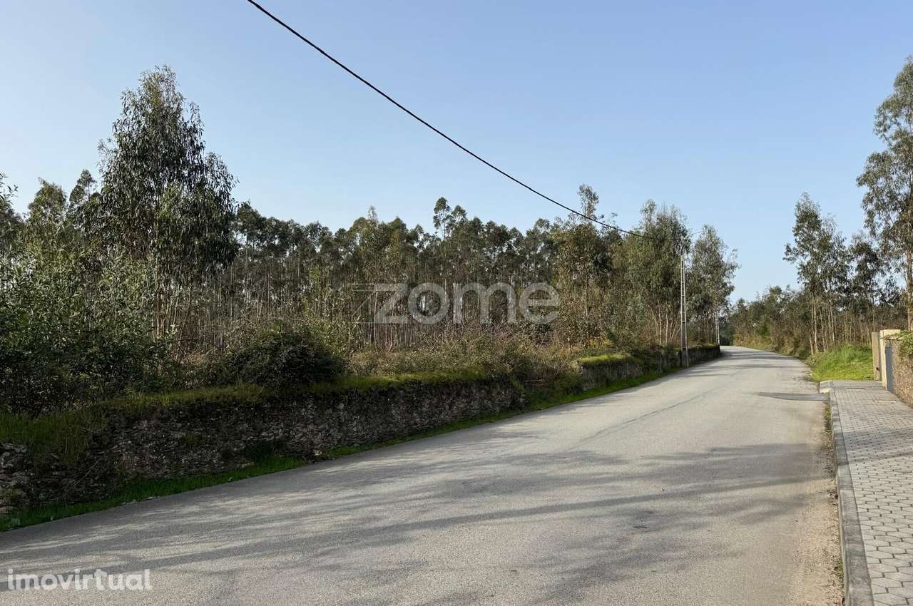 Terreno, em Arada - Ovar - Grande imagem: 5/12