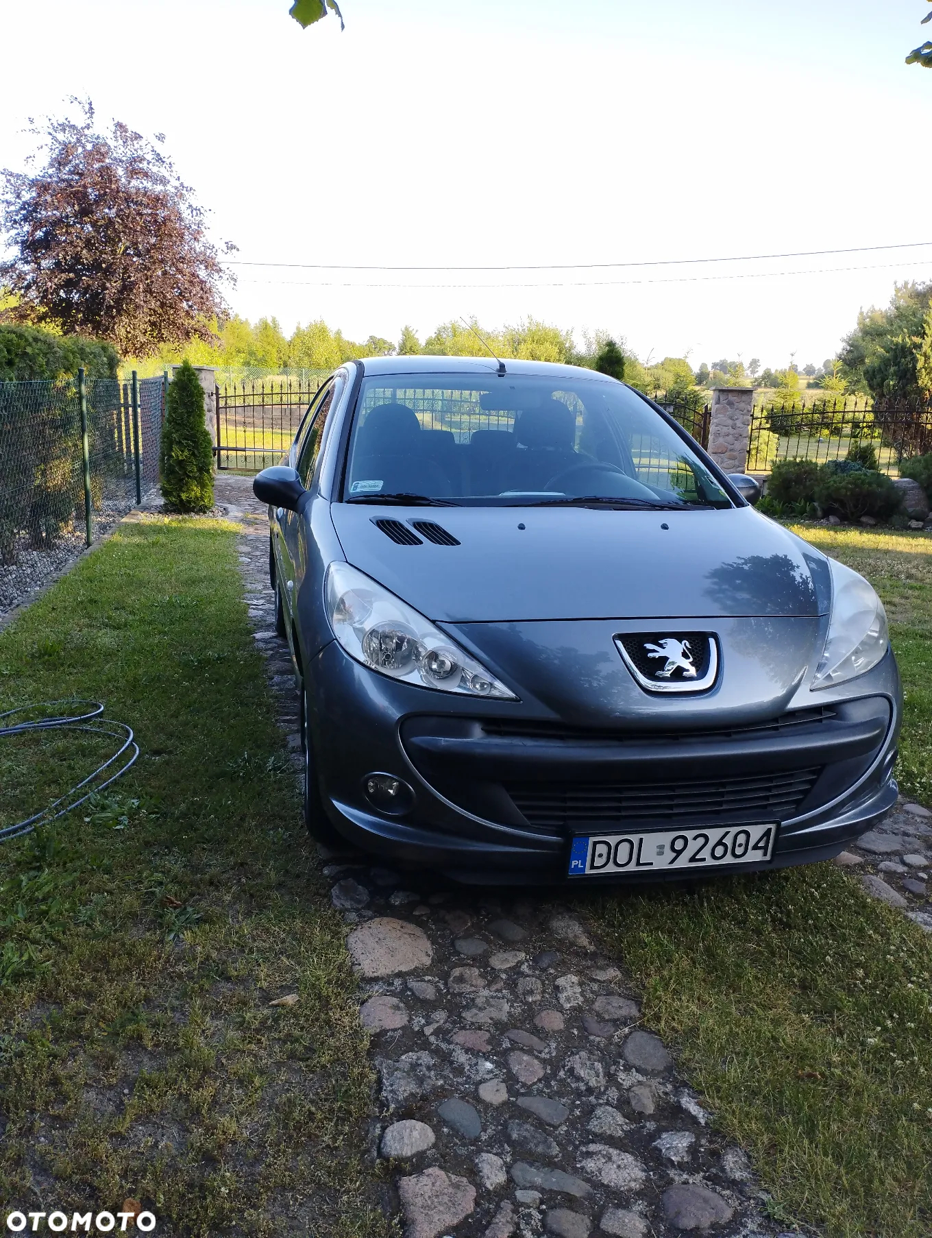 Peugeot 206 - 9