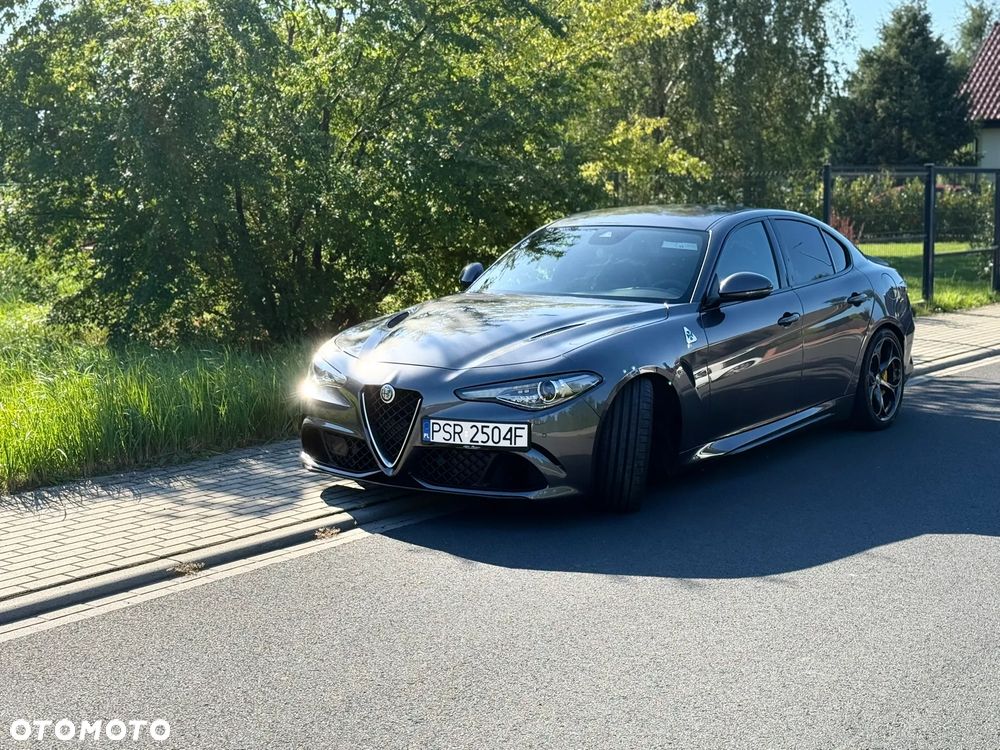 Alfa Romeo Giulia 2.9 Bi Turbo V6 Quadrifoglio - 26