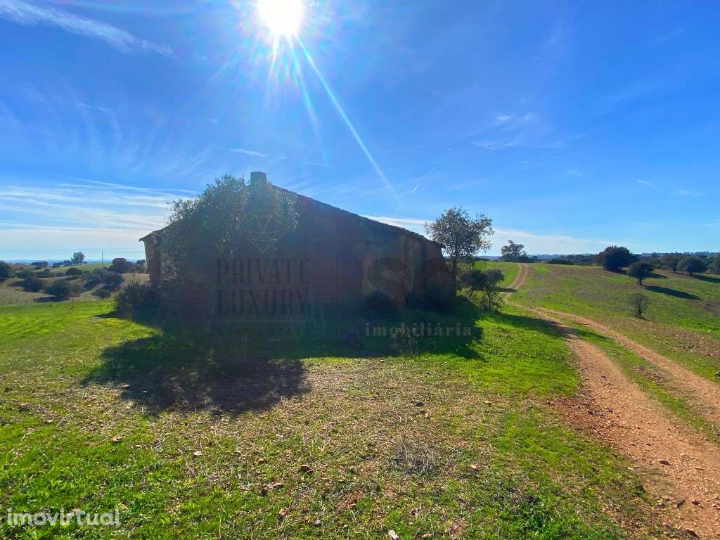 Quinta para recuperar em Serpa - Grande imagem: 2/60