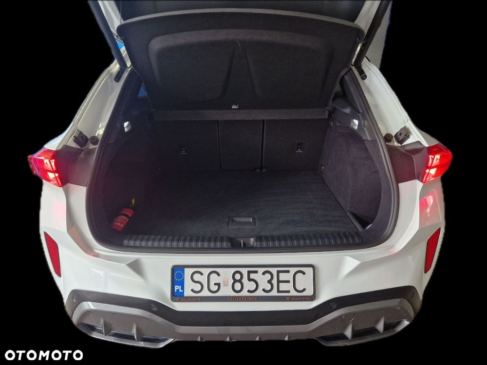 Cupra Terramar - 10