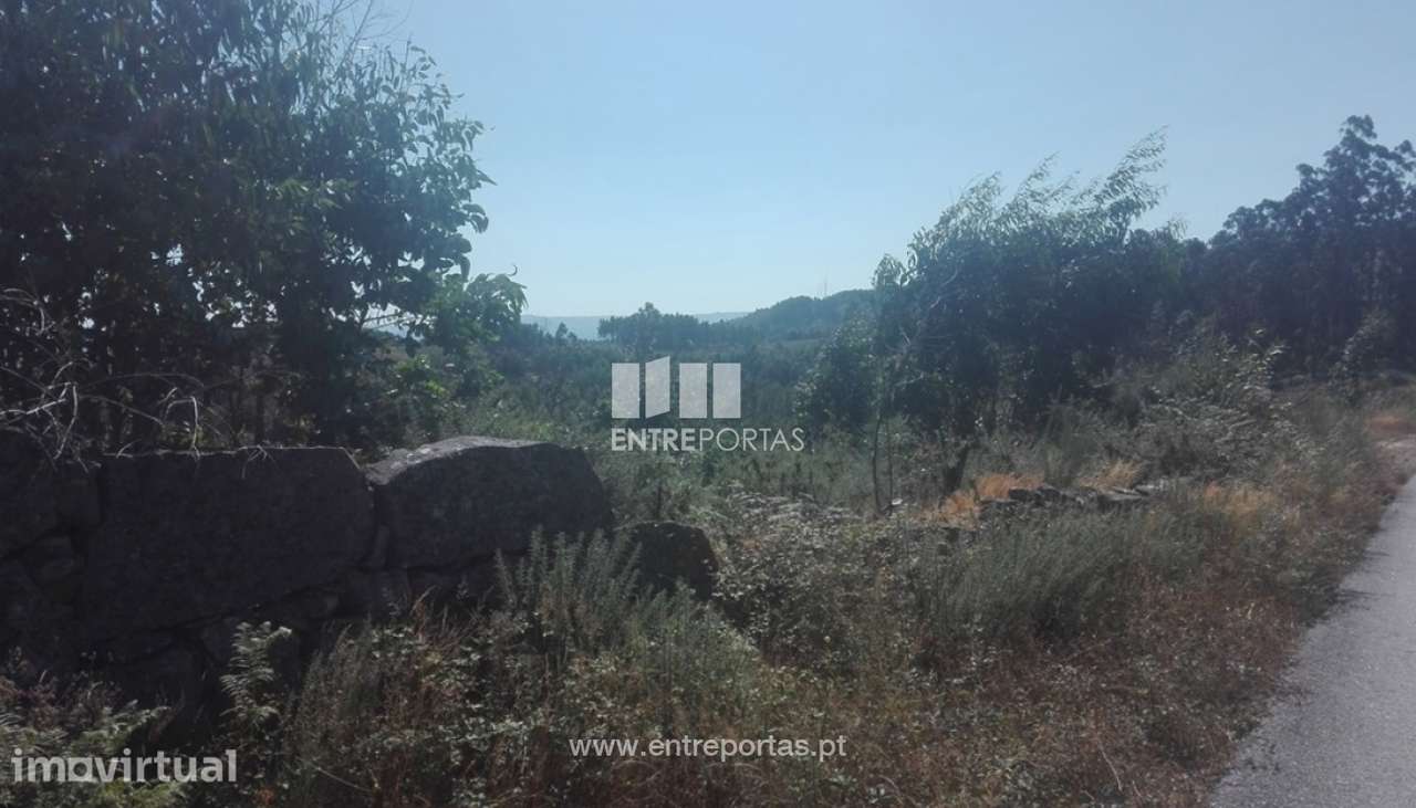 Venda Terreno, Manhuncelos, Marco de Canaveses - Grande imagem: 5/6