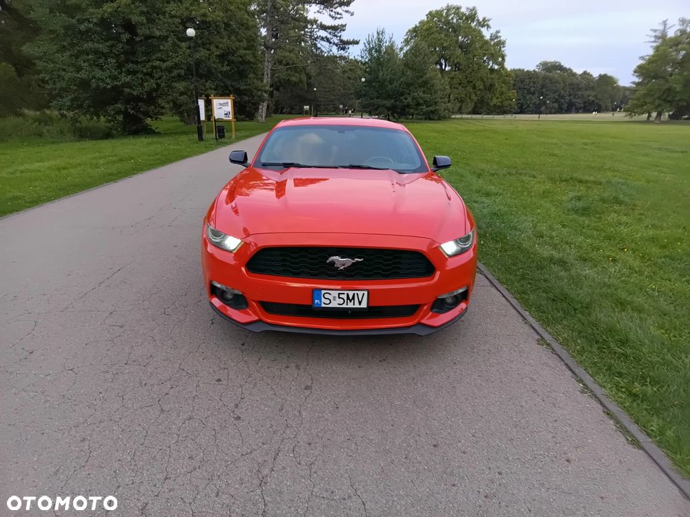 Ford Mustang - 16
