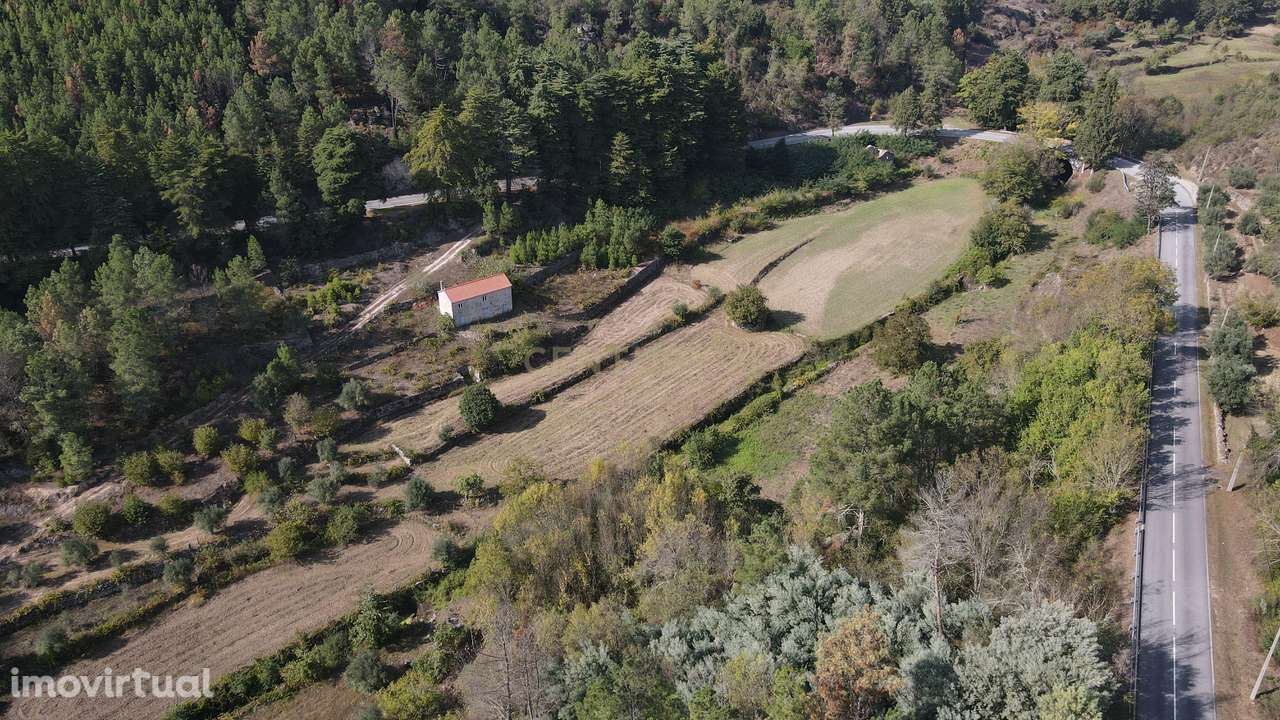 Quintinha próximo de Fornos de Algodres - Grande imagem: 4/9