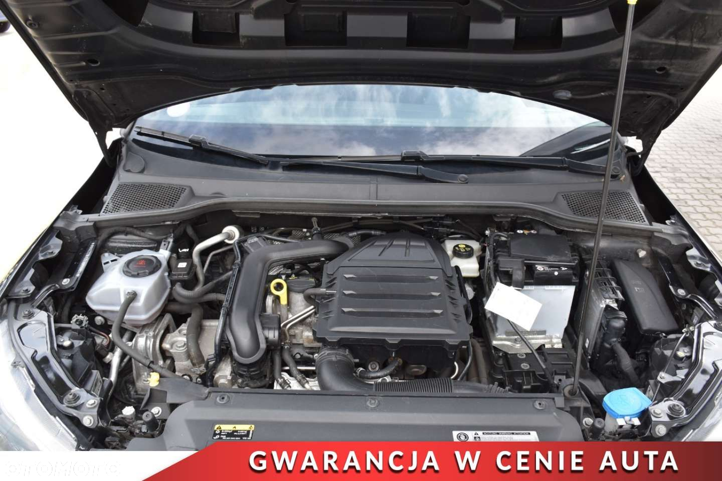Seat Arona 1.0 TSI GPF Xcellence S&S DSG - 25