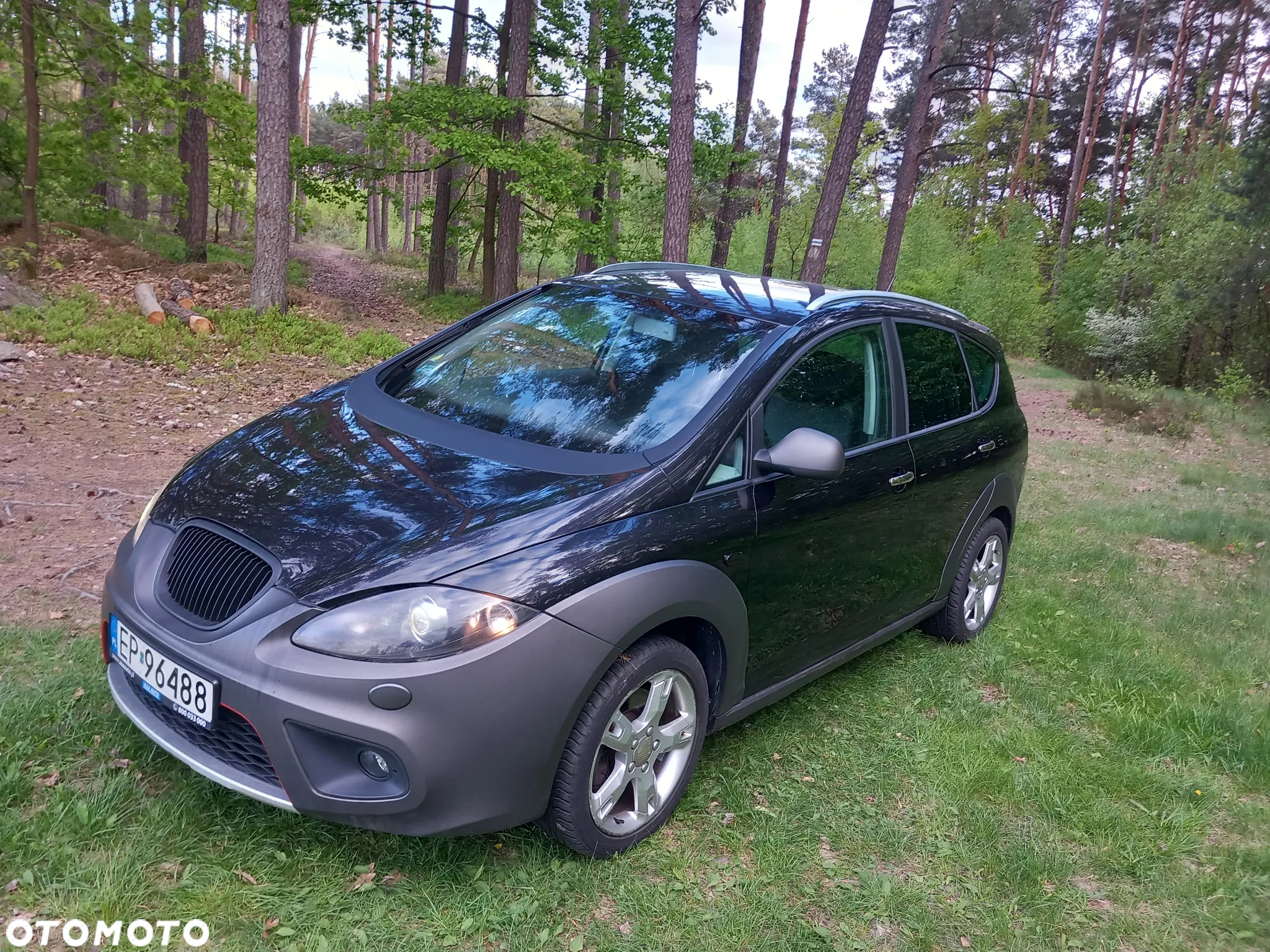 Seat Altea 2.0 T FSI 4x4 Freetrack - 22