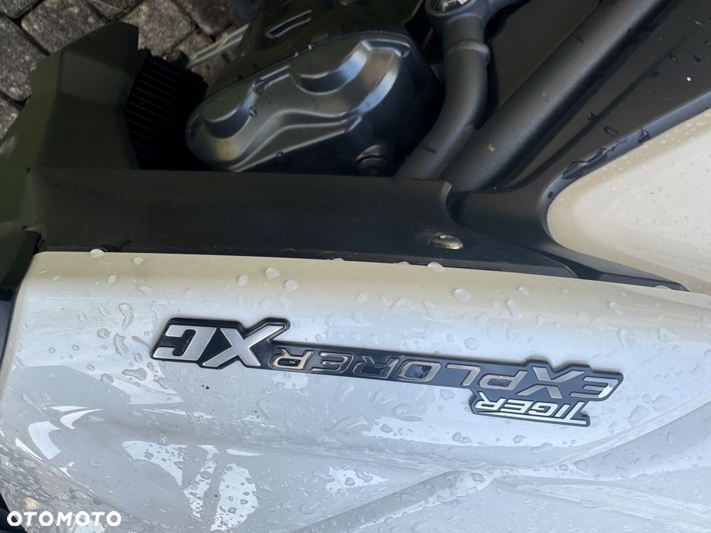 Triumph Tiger - 12