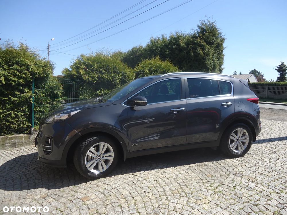 Kia Sportage 1.6 T-GDI Business Line 4WD DCT - 2