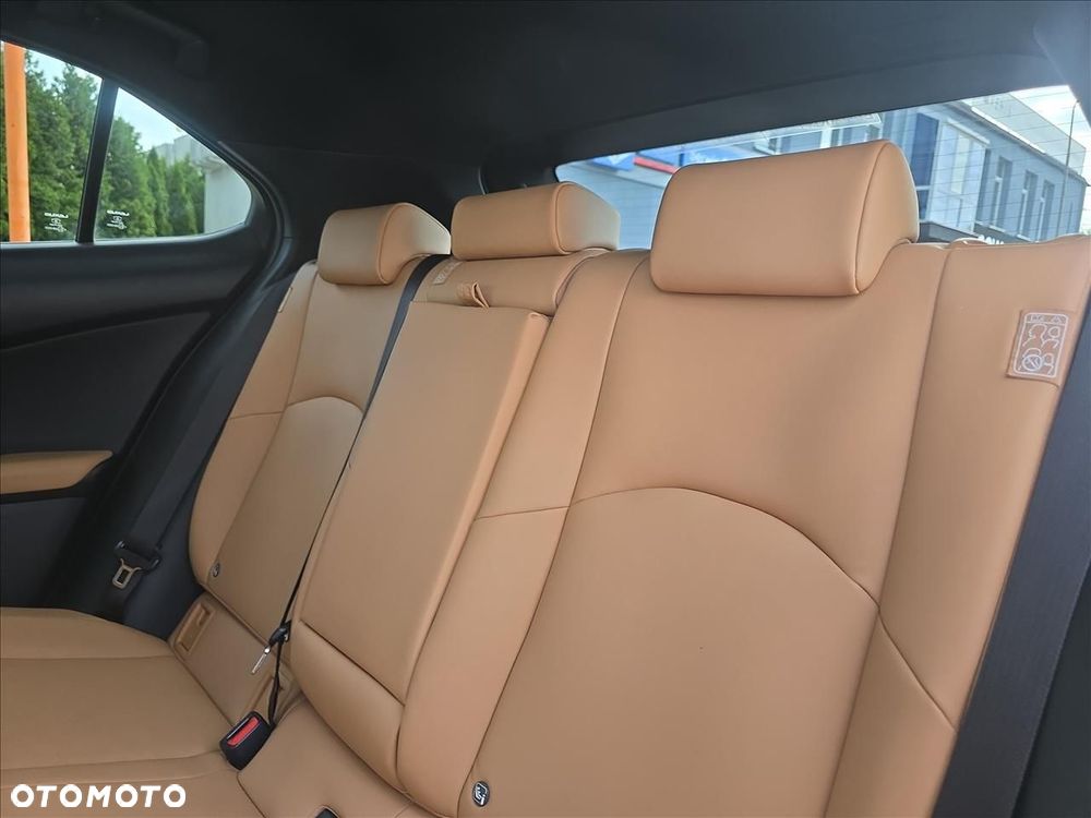 Lexus UX - 20