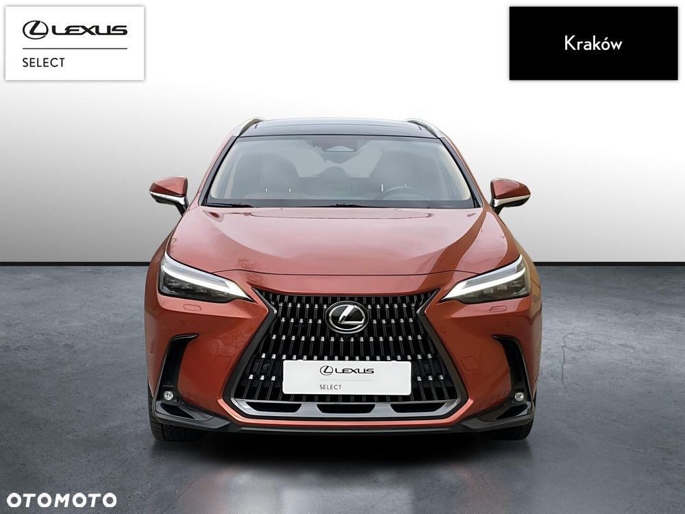 Lexus NX 350h Omotenashi AWD - 8