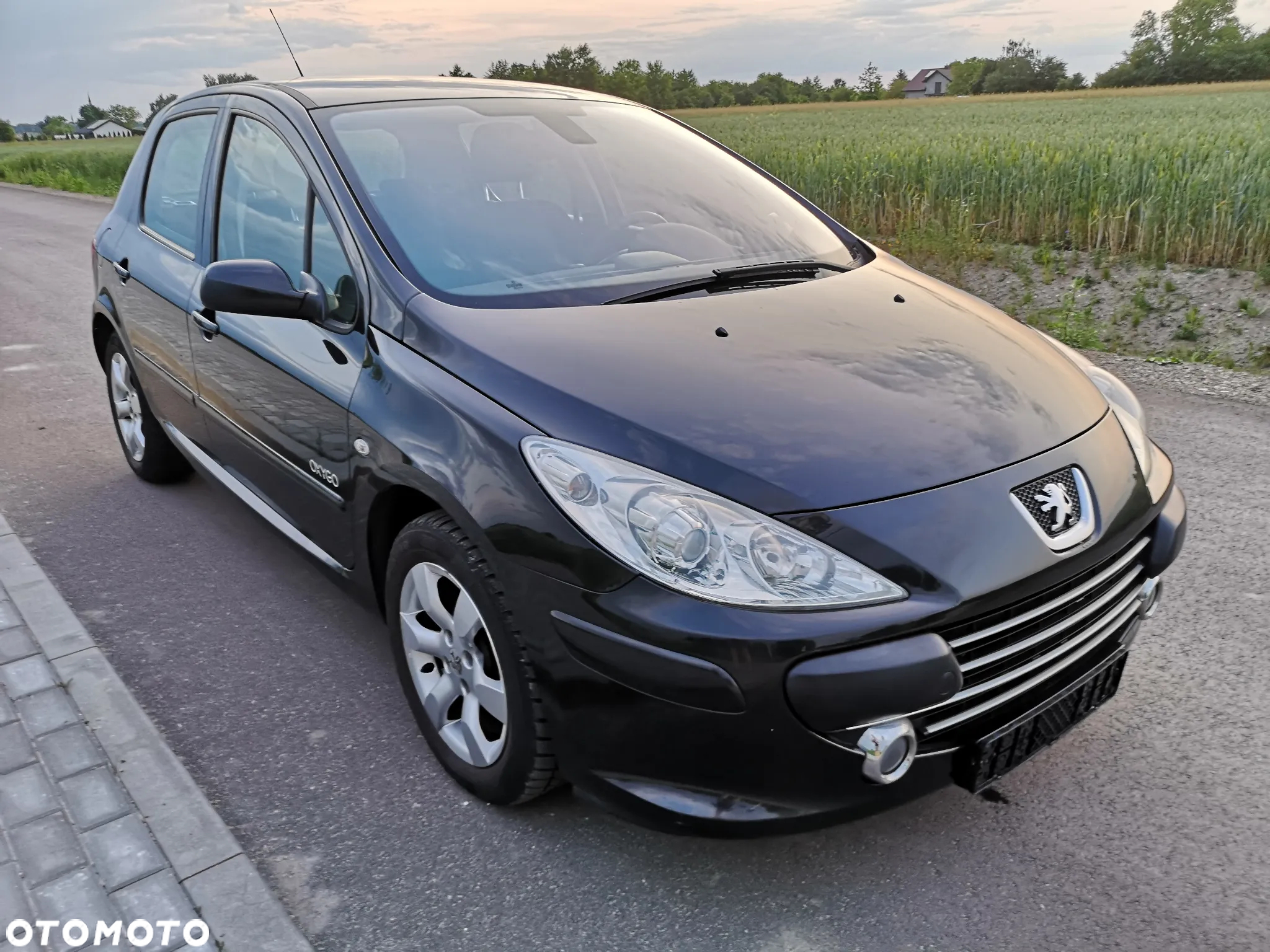 Peugeot 307 110 OXYGO - 26