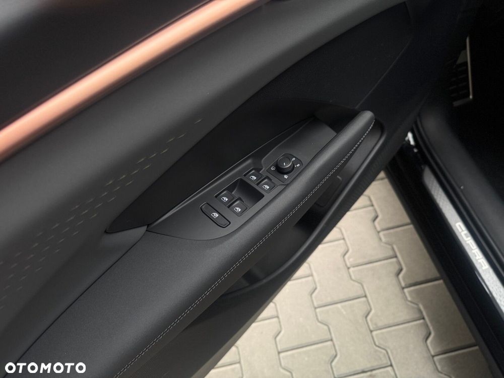 Cupra Terramar - 24
