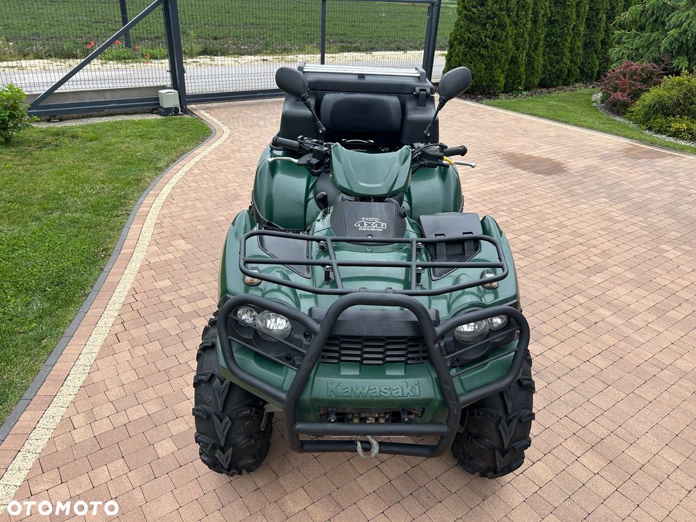 Kawasaki Brute Force - 13