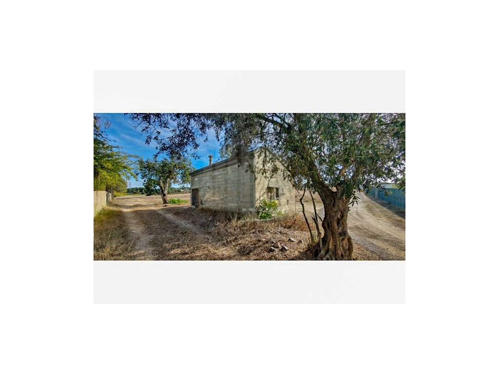 Terreno com 20500m² - Grande imagem: 4/13