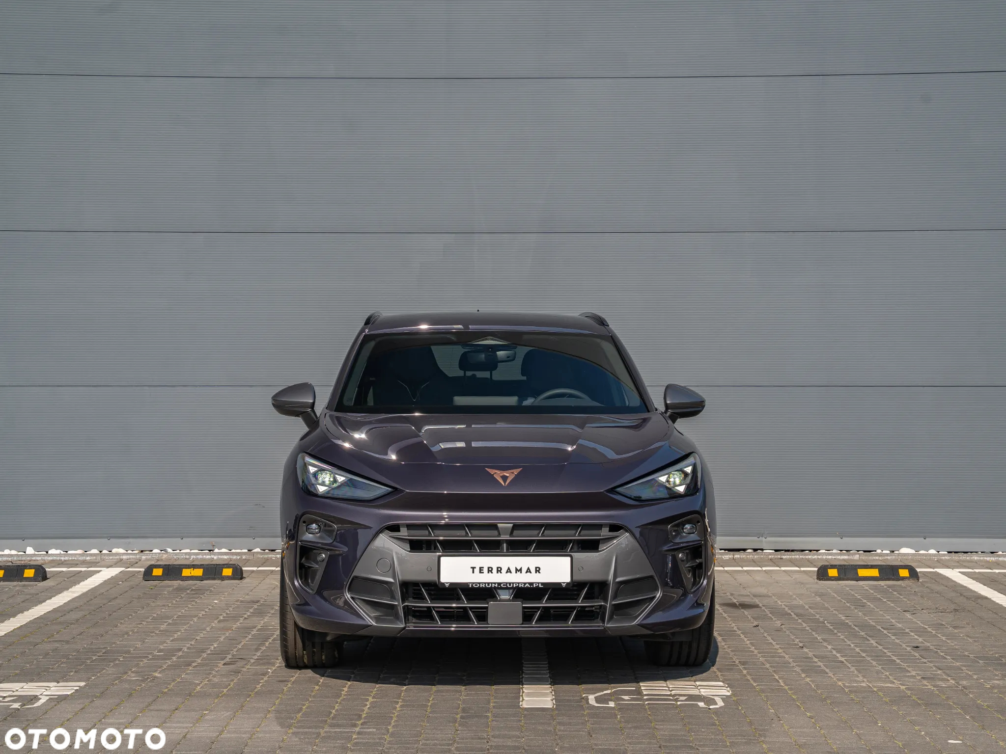 Cupra Terramar 2.0 TSI 4Drive DSG - 6