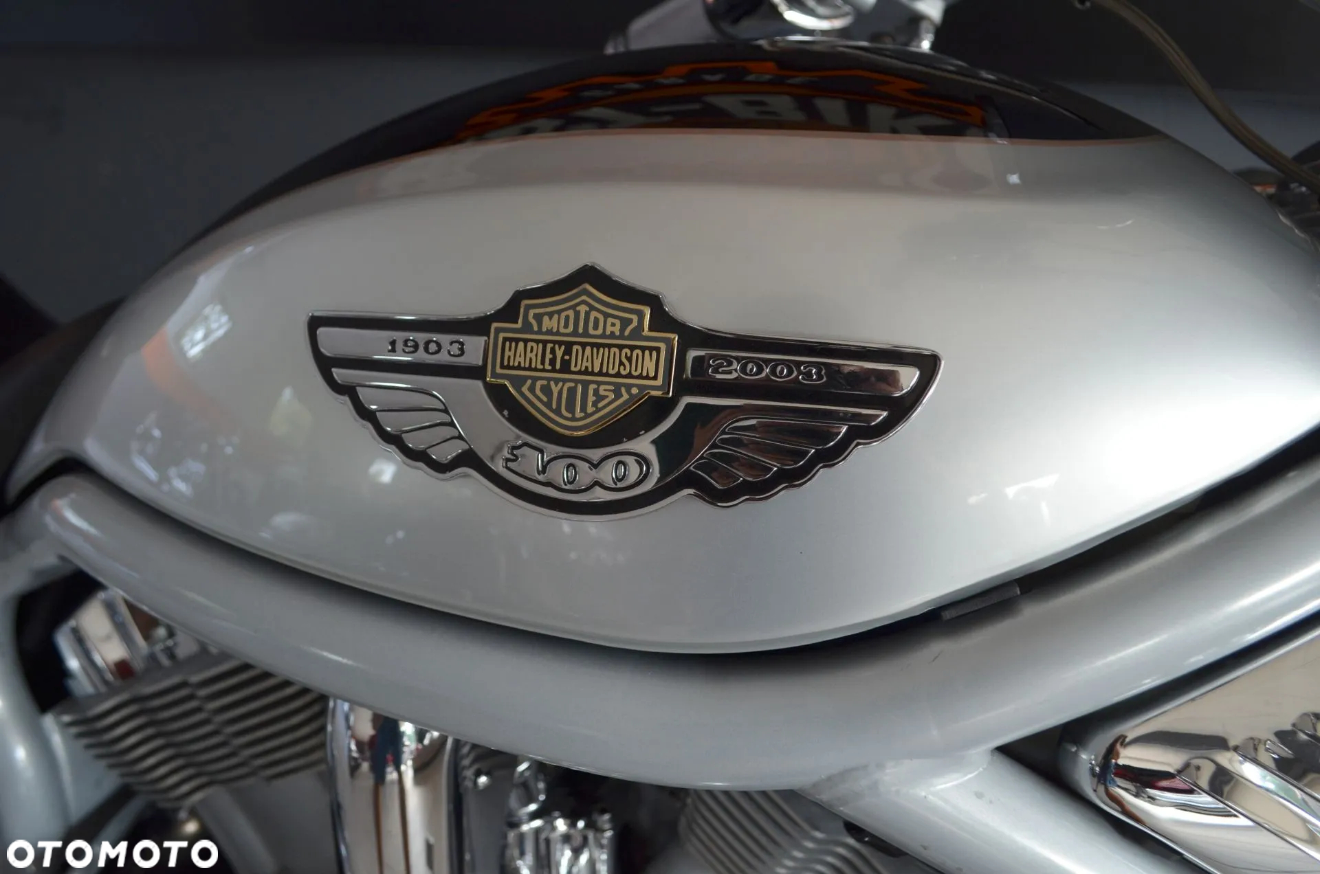 Harley-Davidson Softail V-Rod - 11