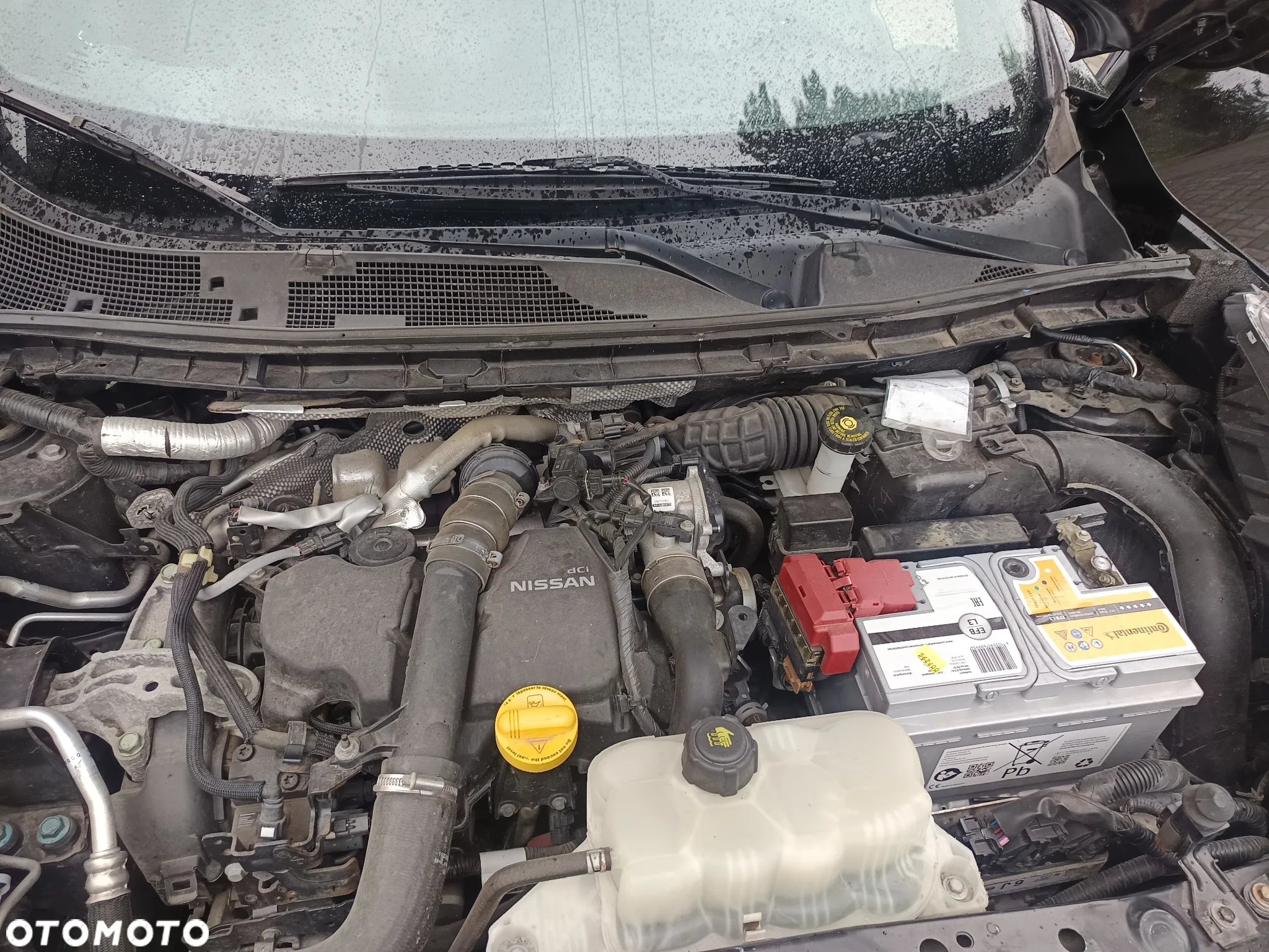 Nissan Juke 1.5 dCi Tekna - 11
