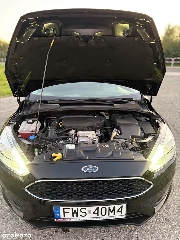 Ford Focus - 18