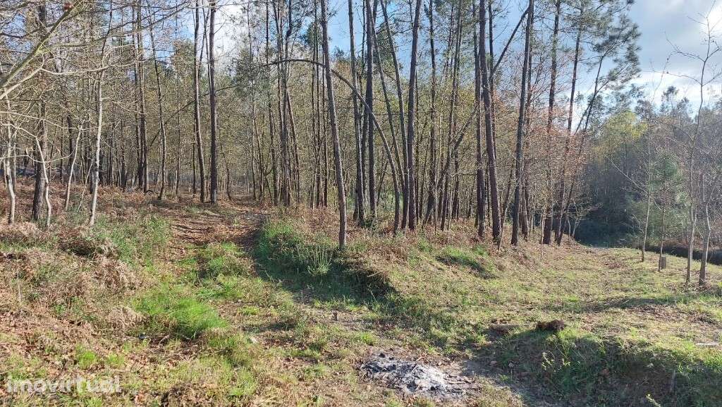 Lote Construção - Fiscal - Grande imagem: 2/8